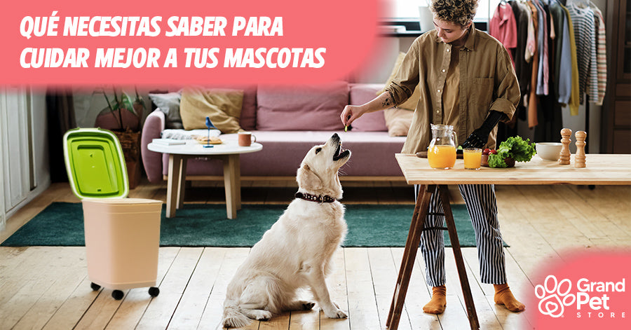 Contenedores herméticos: Que Necesitas Saber para Cuidar Mejor a tus Mascotas.