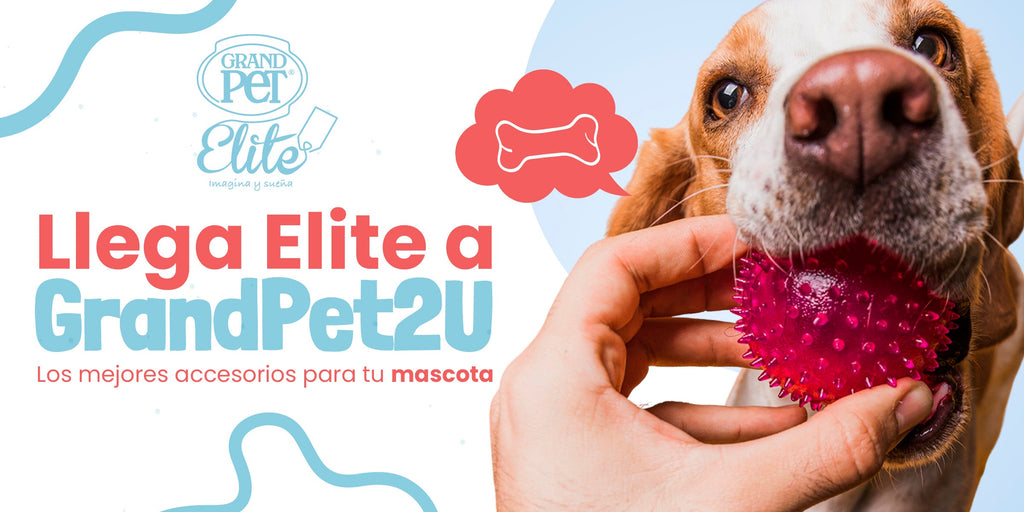 Accesorios de Mascota
