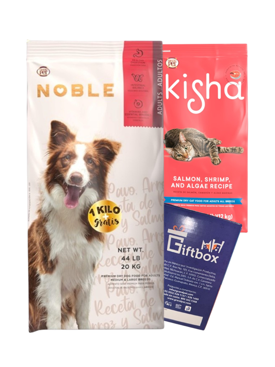 Noble Adulto + Kisha Adulto + GIFTBOX DE REGALO