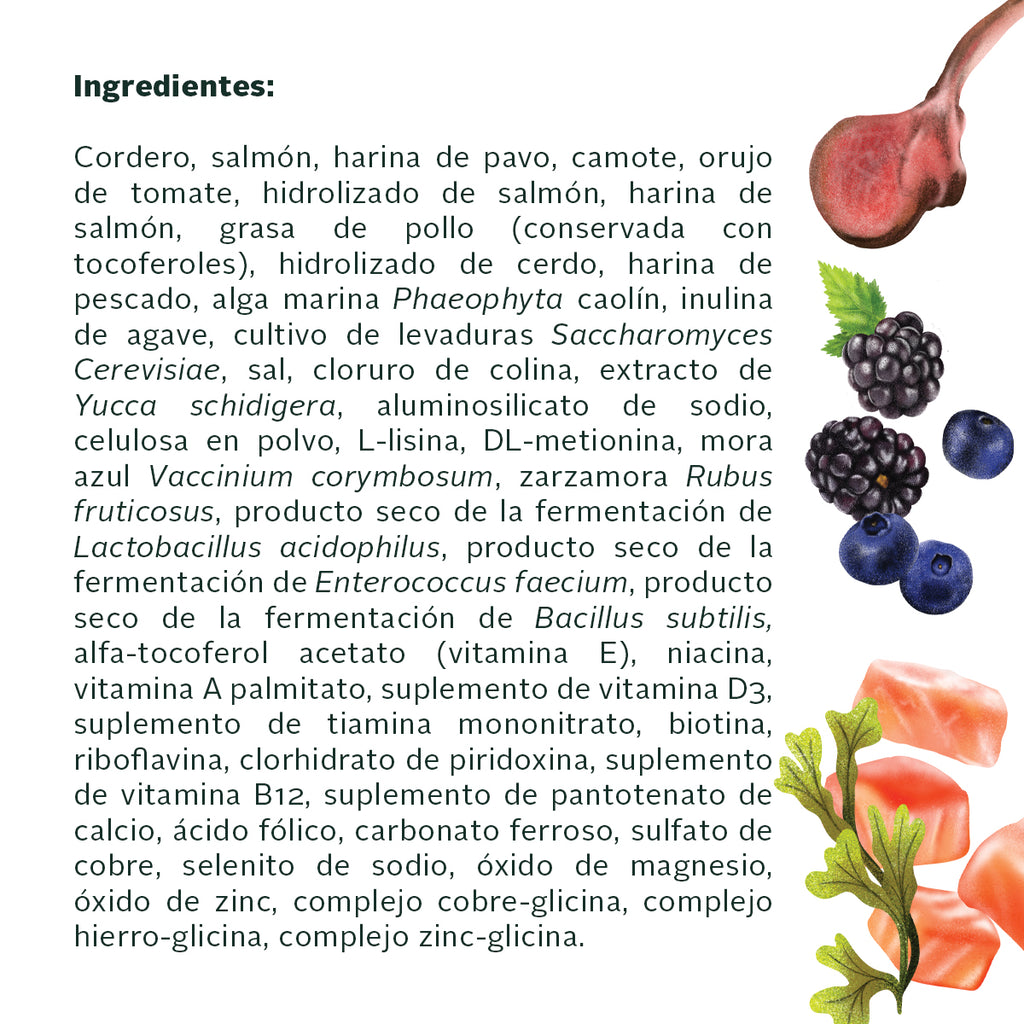GrandPet Natural Gourmet Piel y Pelo Saludables para Perro Adulto Receta Cordero y Salmón
