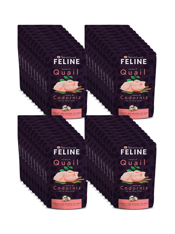 Natural Gourmet Feline® Sobre 85 Gr Alimento Húmedo Gato Receta Codorniz