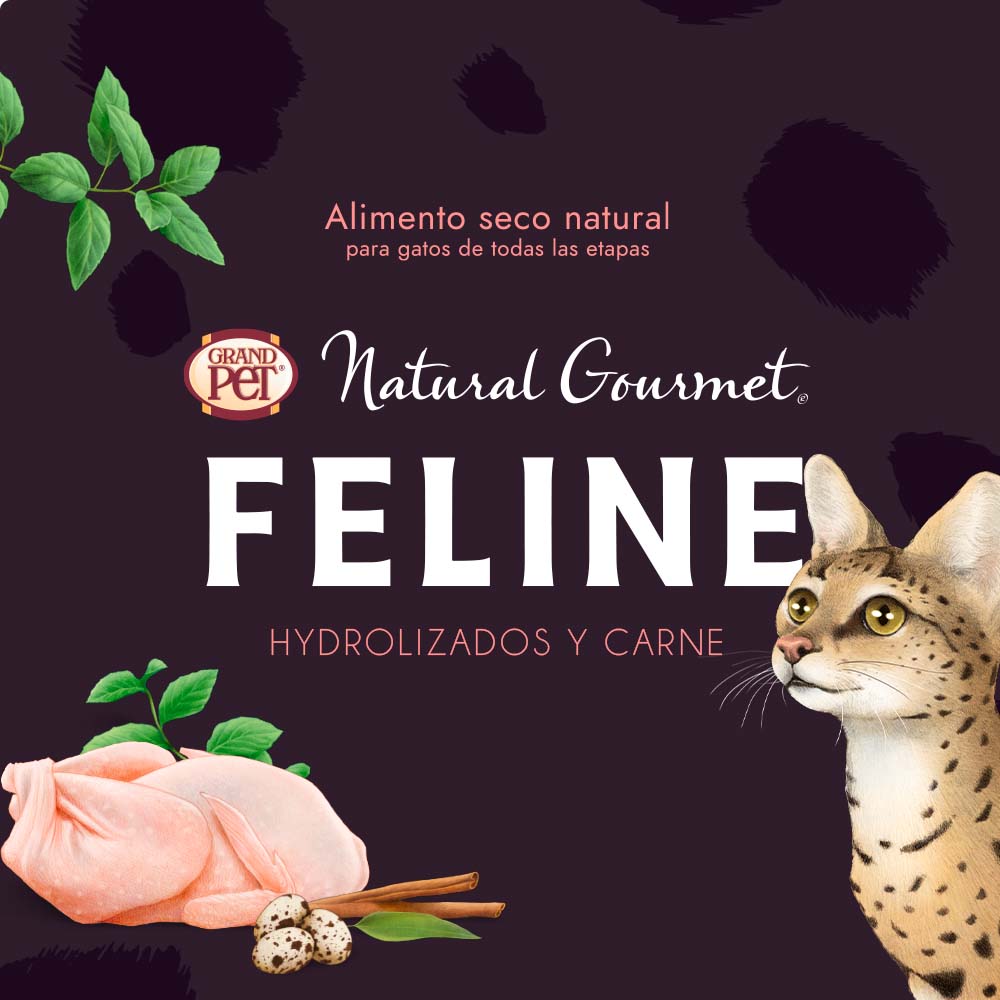 Grandpet Natural Gourmet Feline® Alimento Gato Receta Tilapia y Pavo