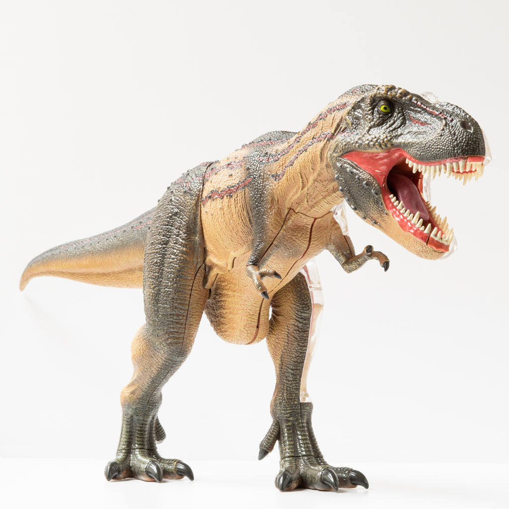 Modelo Anatómico T-Rex